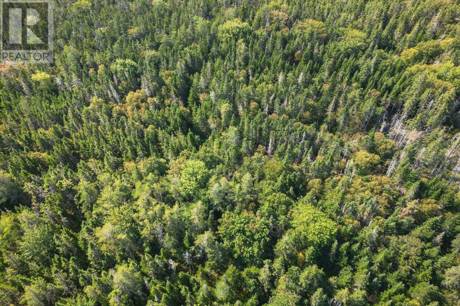 Lot 53 Peter Sosna Dr, Hay Cove, Nova Scotia  B0E 3B0 - Photo 12 - 202600061