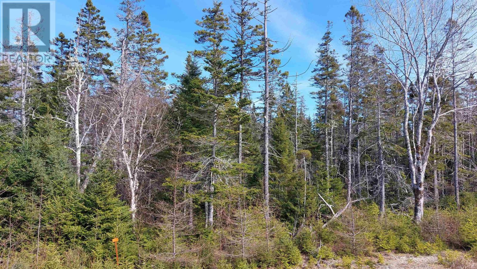 Lot 53 Peter Sosna Dr, Hay Cove, Nova Scotia  B0E 3B0 - Photo 6 - 202600061