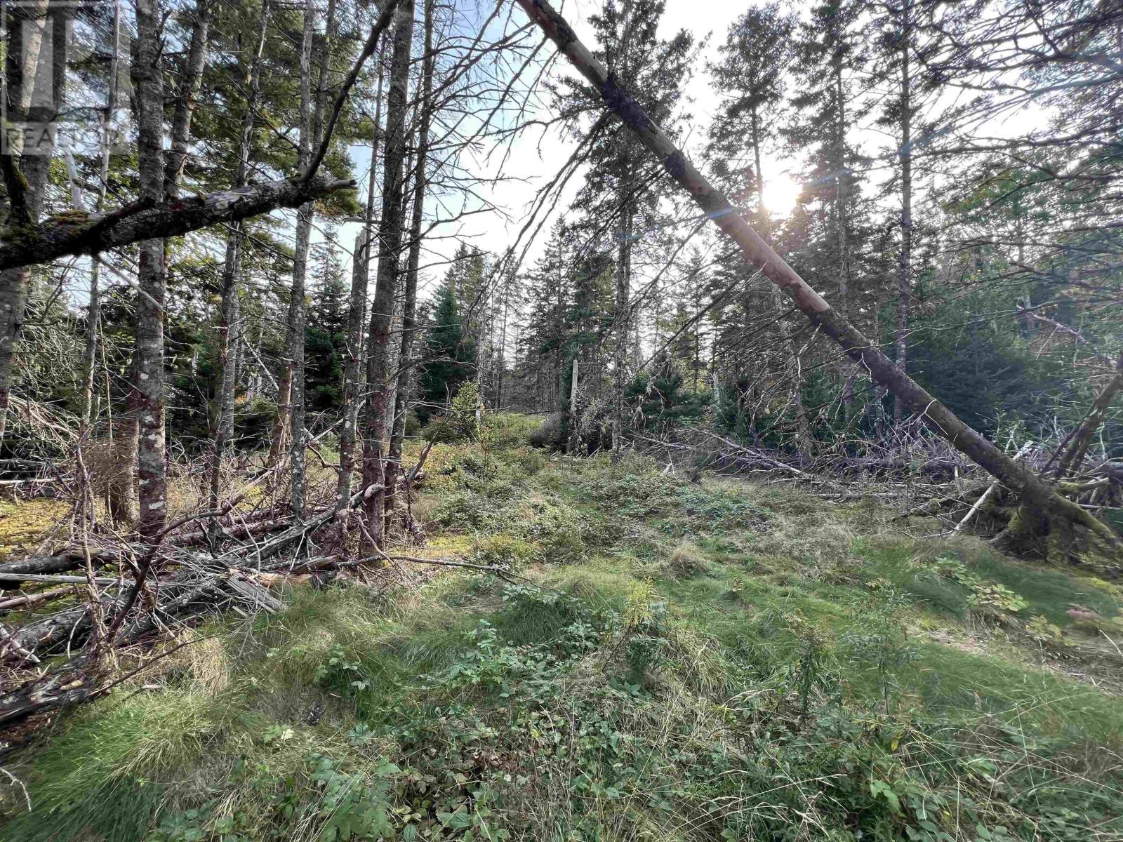 390 Conrads Road, Hubbards, Nova Scotia  B0J 1T0 - Photo 10 - 202600175