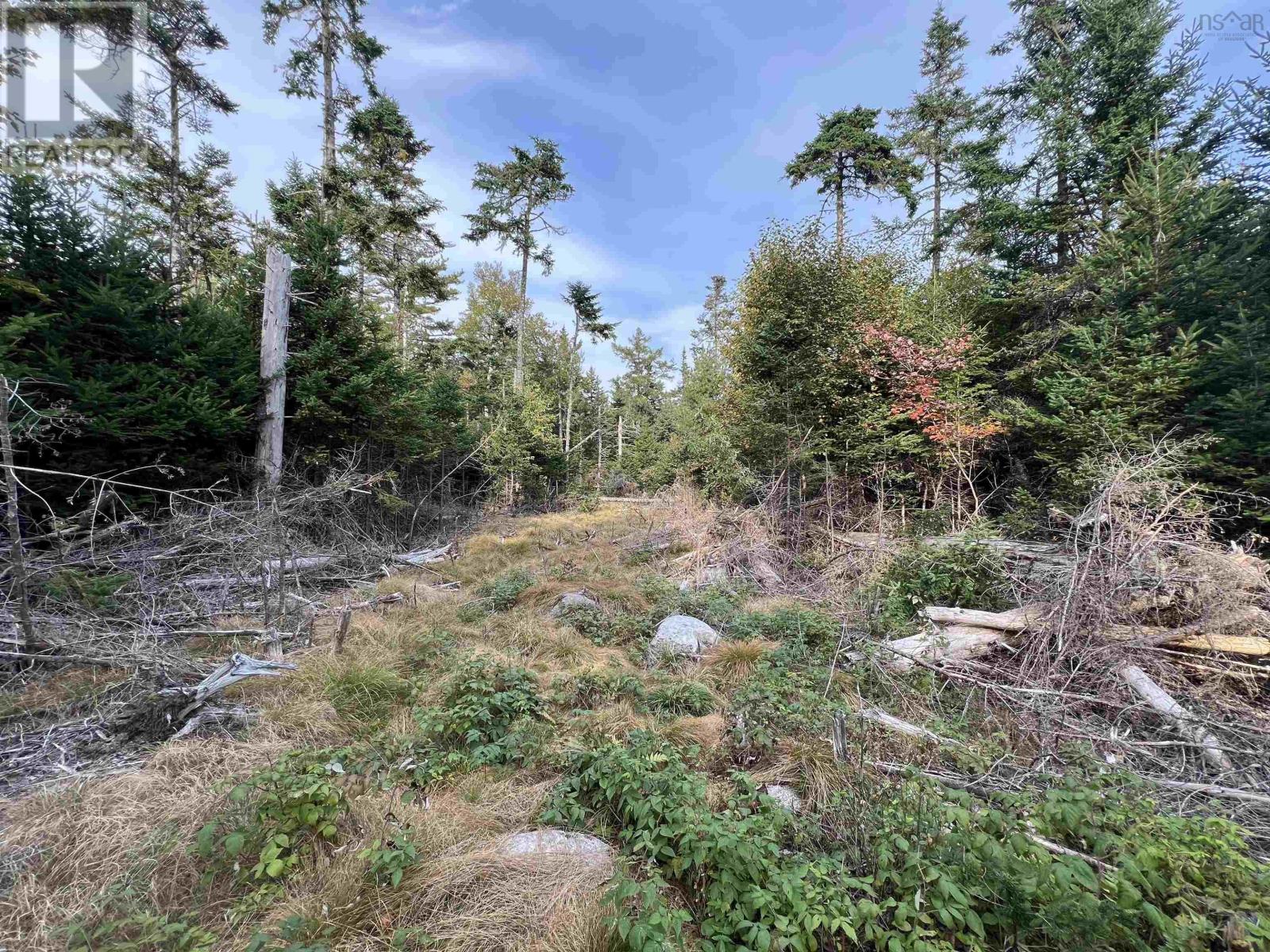 390 Conrads Road, Hubbards, Nova Scotia  B0J 1T0 - Photo 11 - 202600175