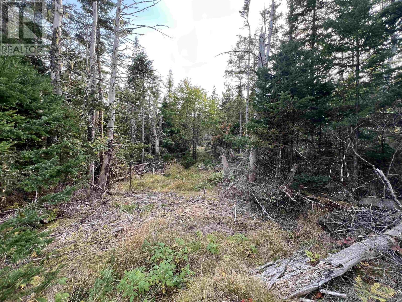 390 Conrads Road, Hubbards, Nova Scotia  B0J 1T0 - Photo 12 - 202600175