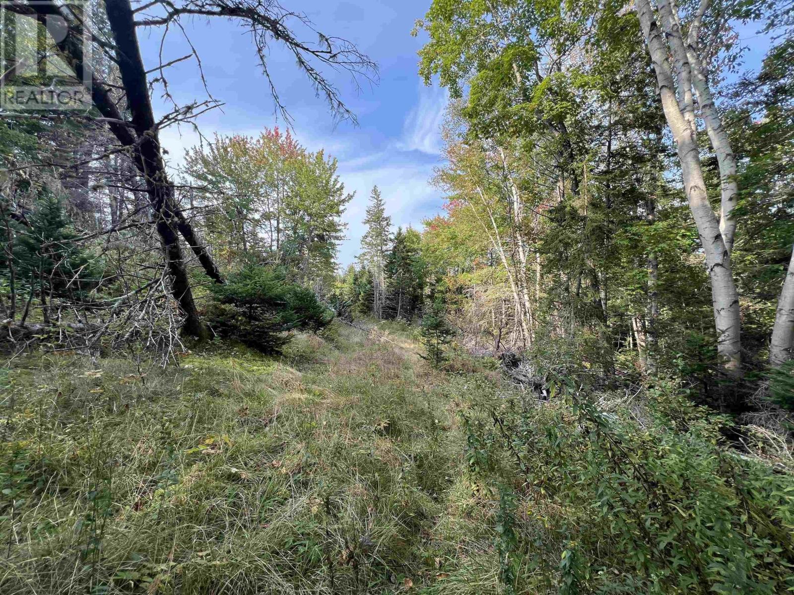 390 Conrads Road, Hubbards, Nova Scotia  B0J 1T0 - Photo 7 - 202600175