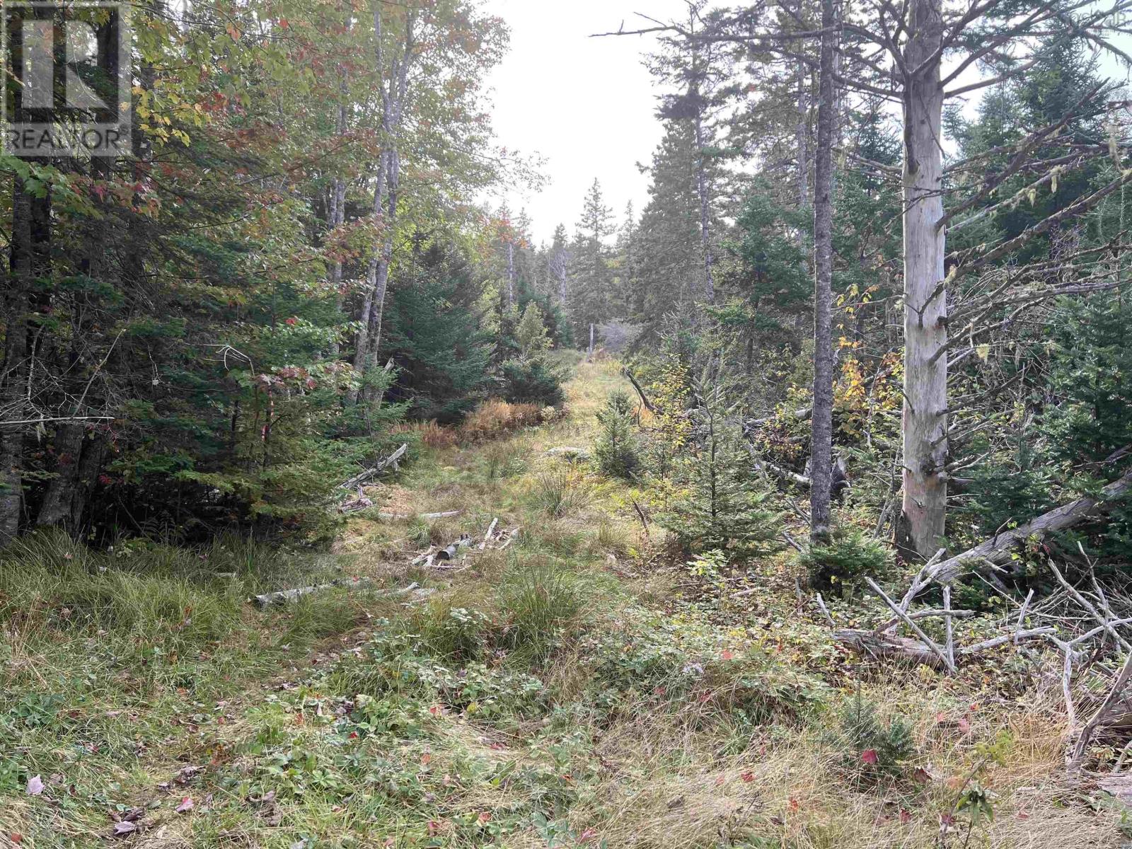 390 Conrads Road, Hubbards, Nova Scotia  B0J 1T0 - Photo 9 - 202600175