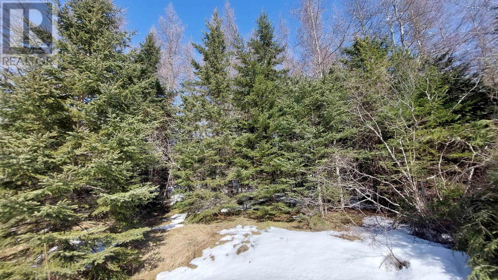 Lot 4 Beaver Ln., Grantville, Nova Scotia  B0E 1J0 - Photo 11 - 202600200
