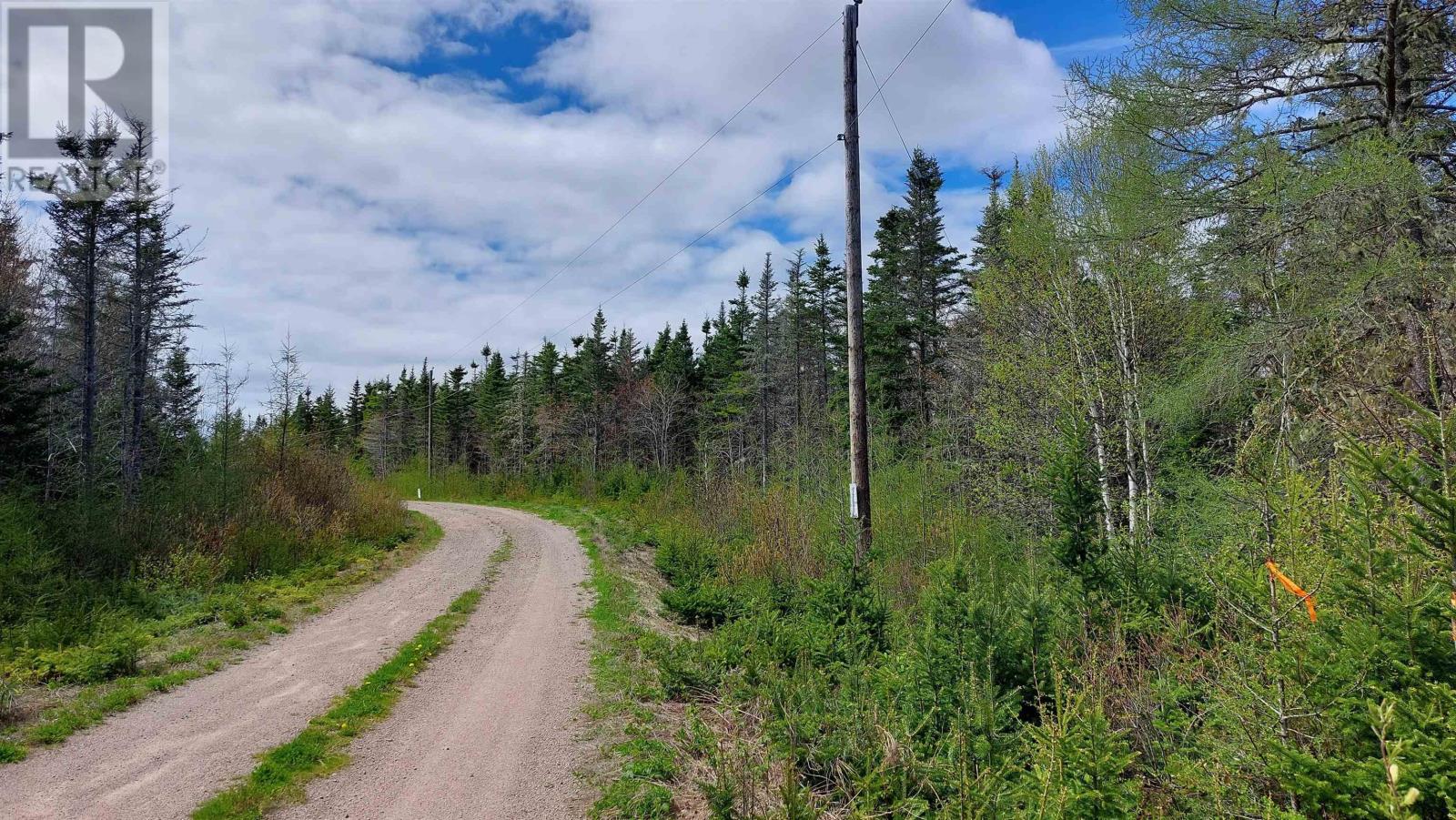 Lot 14 Jonathan R Bouman Lane, Evanston, Nova Scotia  B0E 1J0 - Photo 3 - 202600202