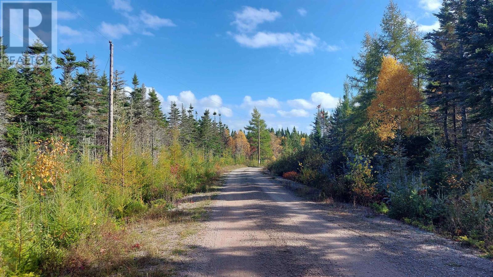 Lot 14 Jonathan R Bouman Lane, Evanston, Nova Scotia  B0E 1J0 - Photo 8 - 202600202