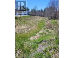 Lot PID#60256468 HIGHWAY 10, new germany, Nova Scotia