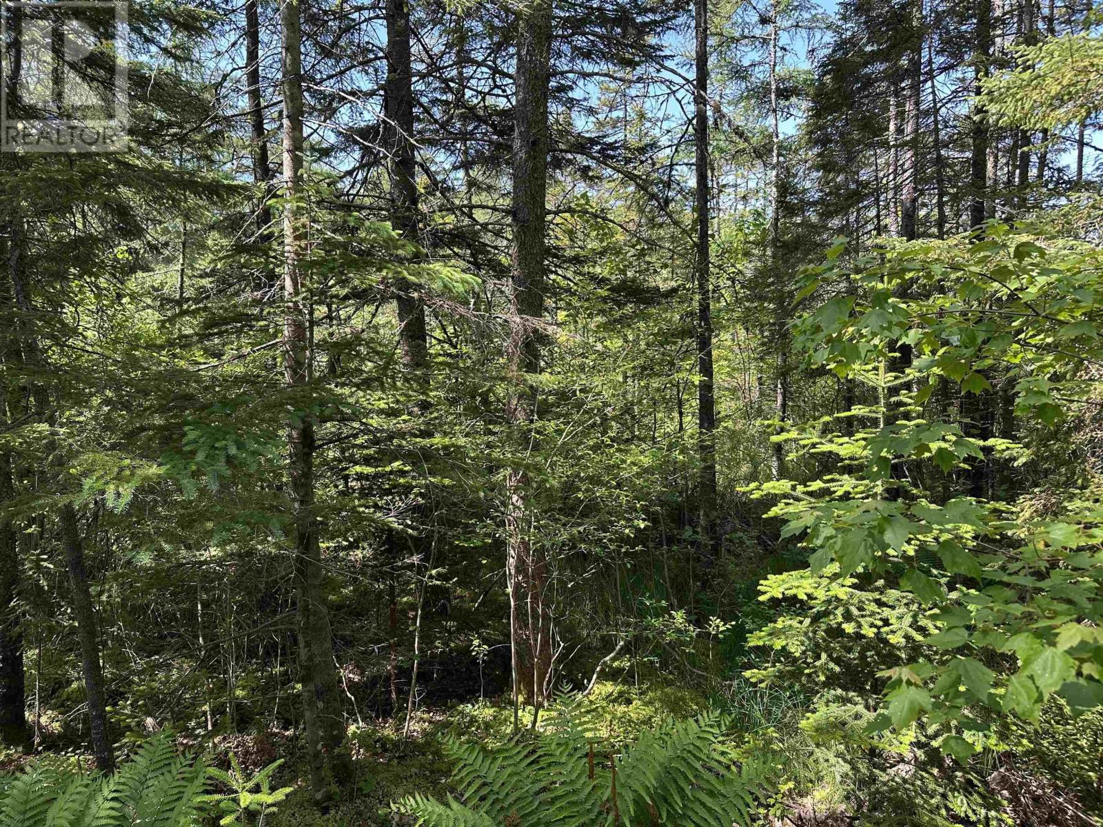 Lot 3 Target Hill Road, Chester, Nova Scotia  B0J 1J0 - Photo 3 - 202600257