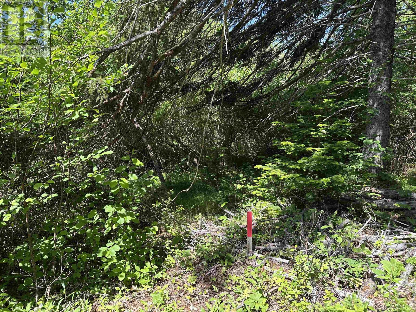 Lot 3 Target Hill Road, Chester, Nova Scotia  B0J 1J0 - Photo 7 - 202600257