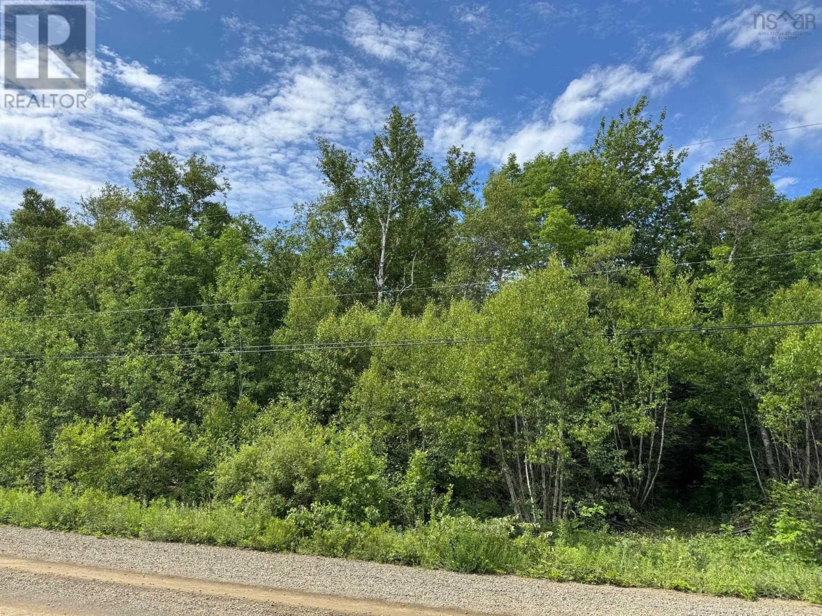 Lot 2001 Long Beach Road, Glenmont, Nova Scotia  B0P 1H0 - Photo 2 - 202600258