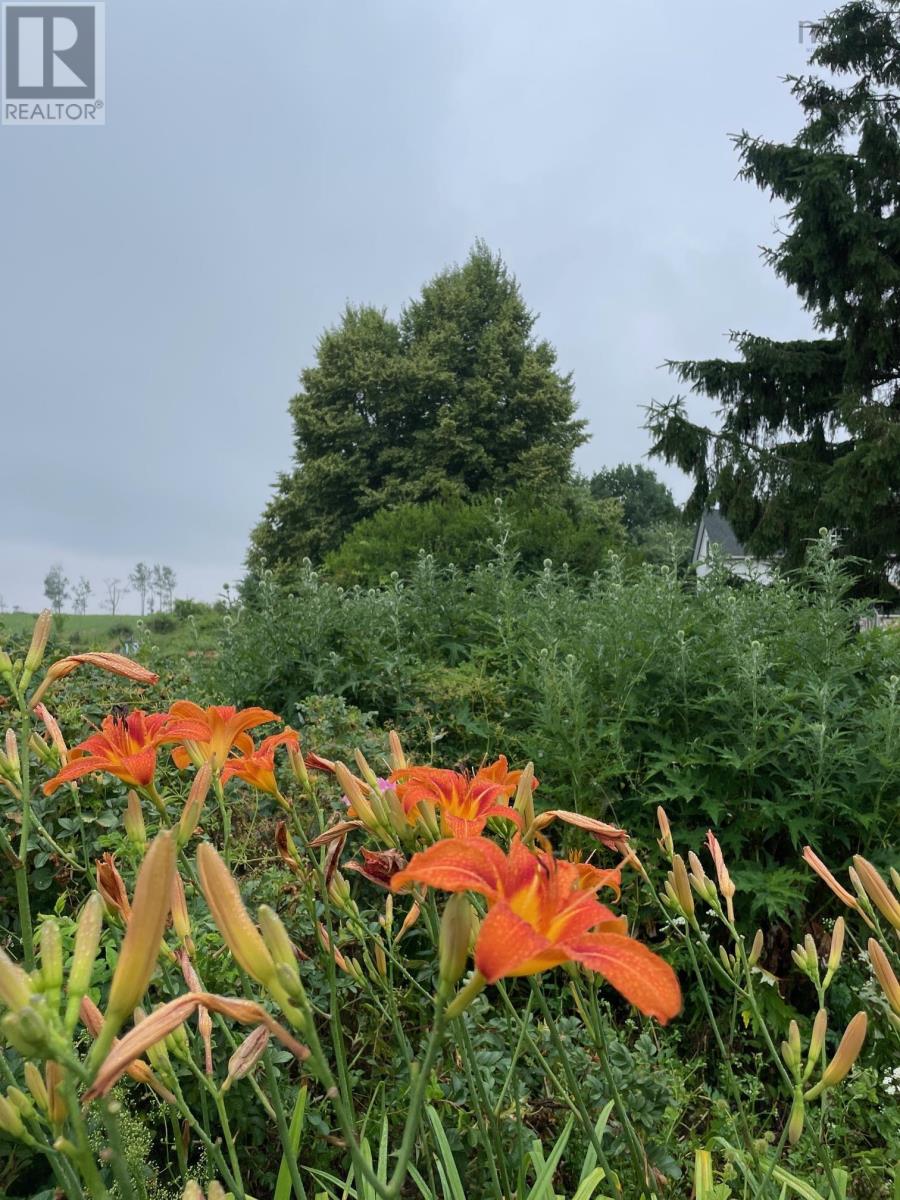 283 Debert Beach Road, Lower Debert, Nova Scotia  B0M 1G0 - Photo 30 - 202600269