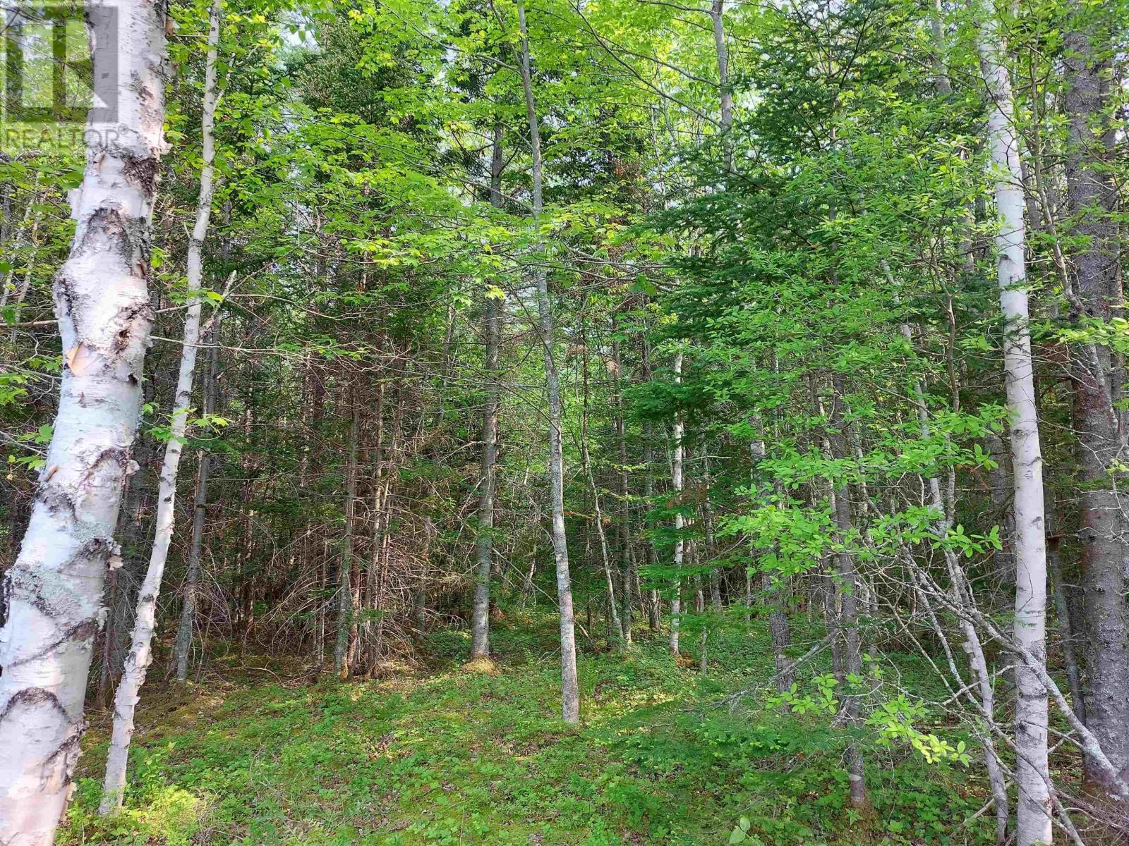 Lot 8 Beaver Lane, Grantville, Nova Scotia  B0E 1J0 - Photo 8 - 202600284