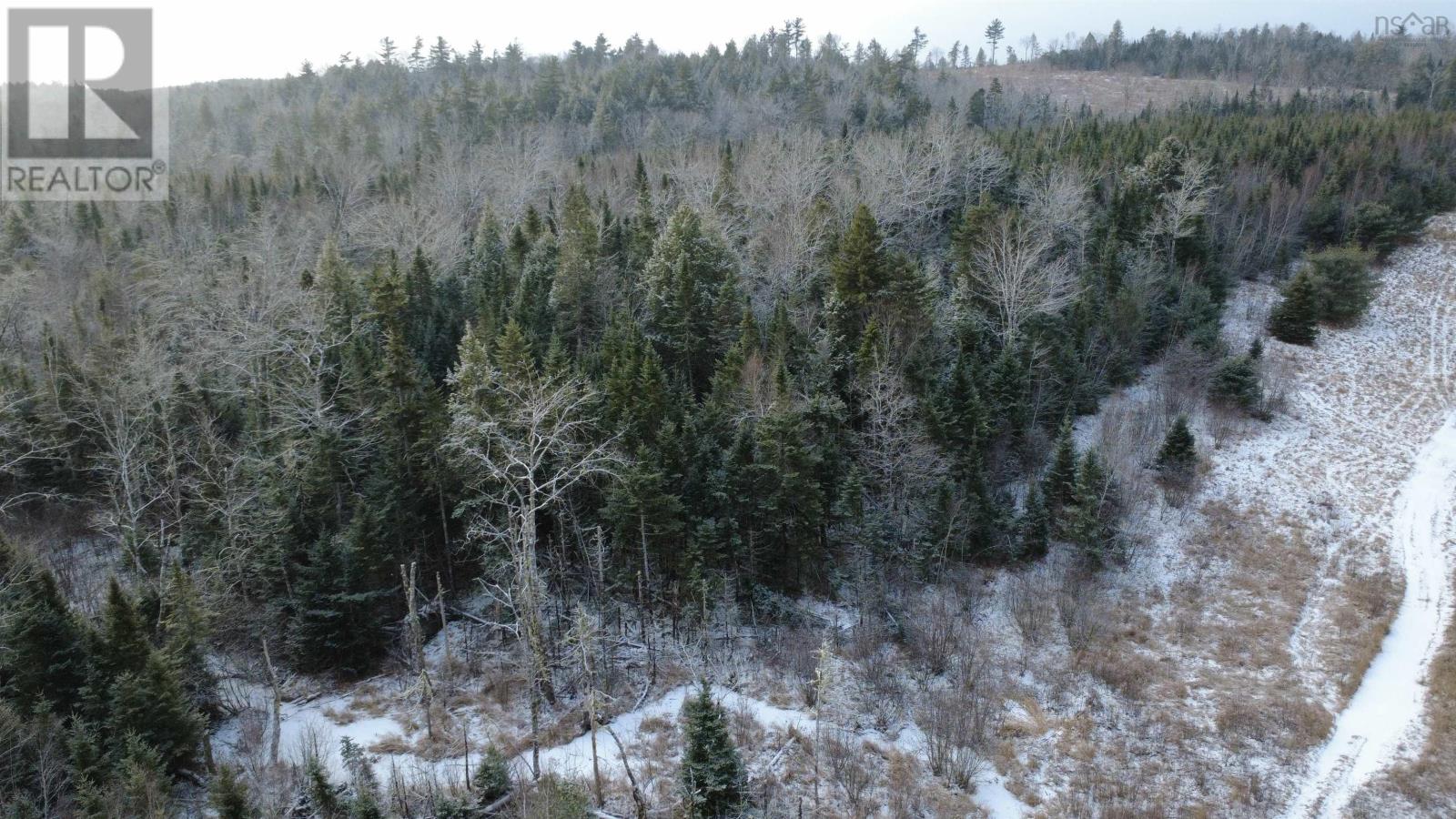 Lake Egmont Road W, Lake Egmont, Nova Scotia  B0N 1Y0 - Photo 16 - 202600370