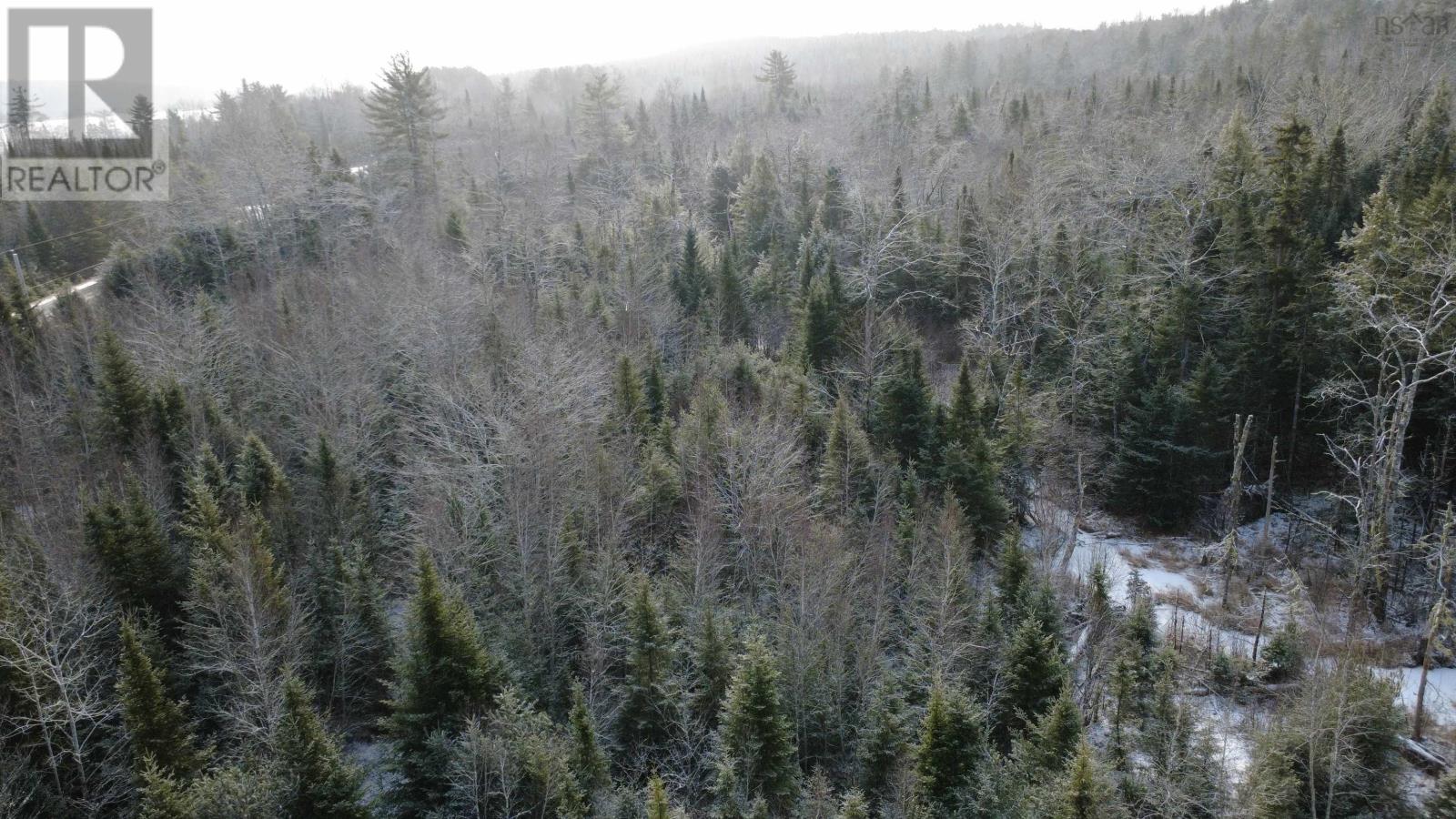 Lake Egmont Road W, Lake Egmont, Nova Scotia  B0N 1Y0 - Photo 5 - 202600370