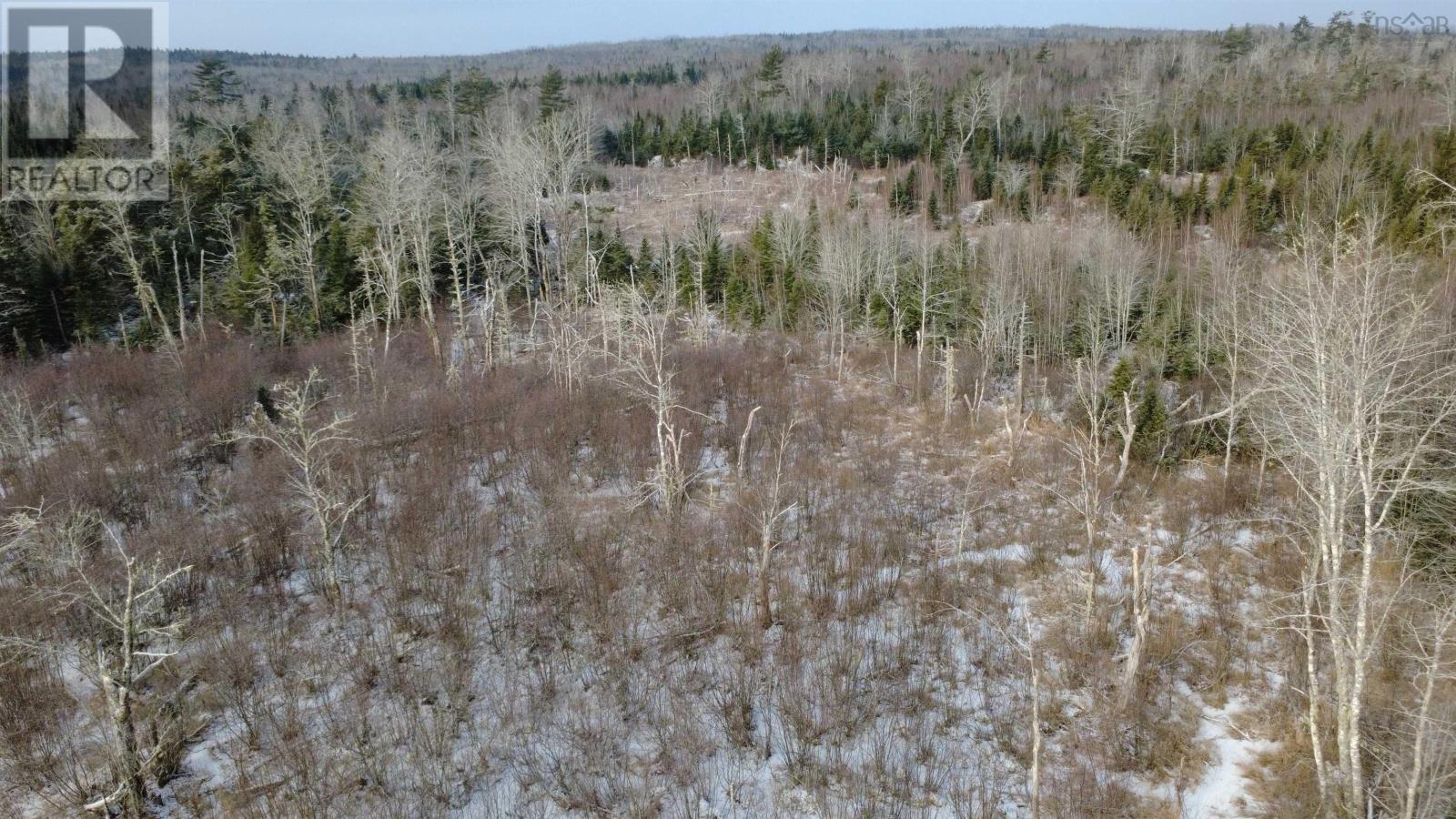 Lake Egmont Road W, Lake Egmont, Nova Scotia  B0N 1Y0 - Photo 9 - 202600370