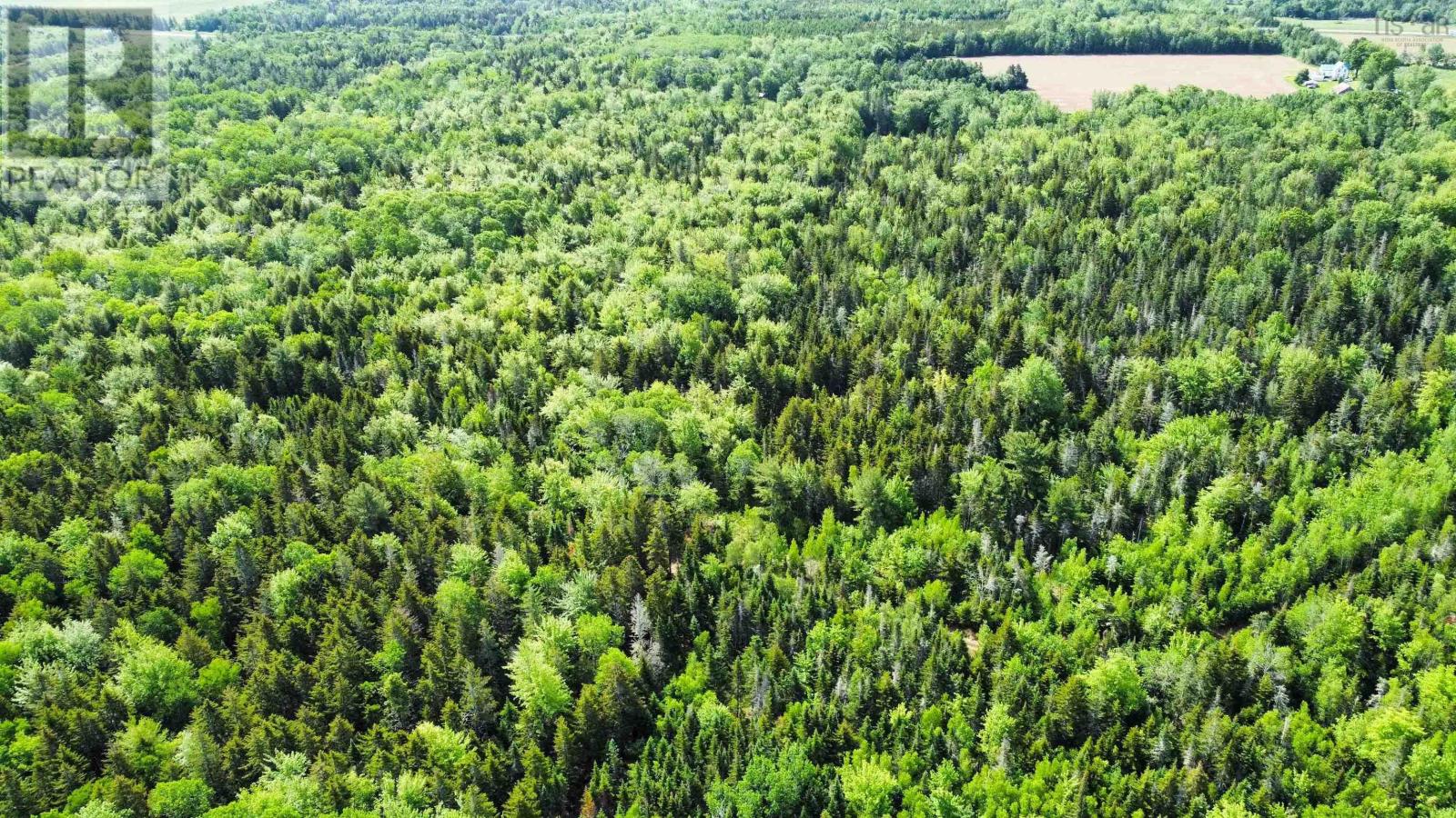 332 Balcom Road, Clarence, Nova Scotia  B0S 1R0 - Photo 45 - 202600415