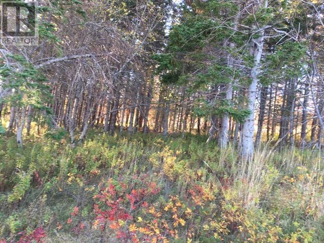 Lot 0 & 3 Kempt Head Road, Southside Boularderie, Nova Scotia  B1Y 2P8 - Photo 5 - 202600457
