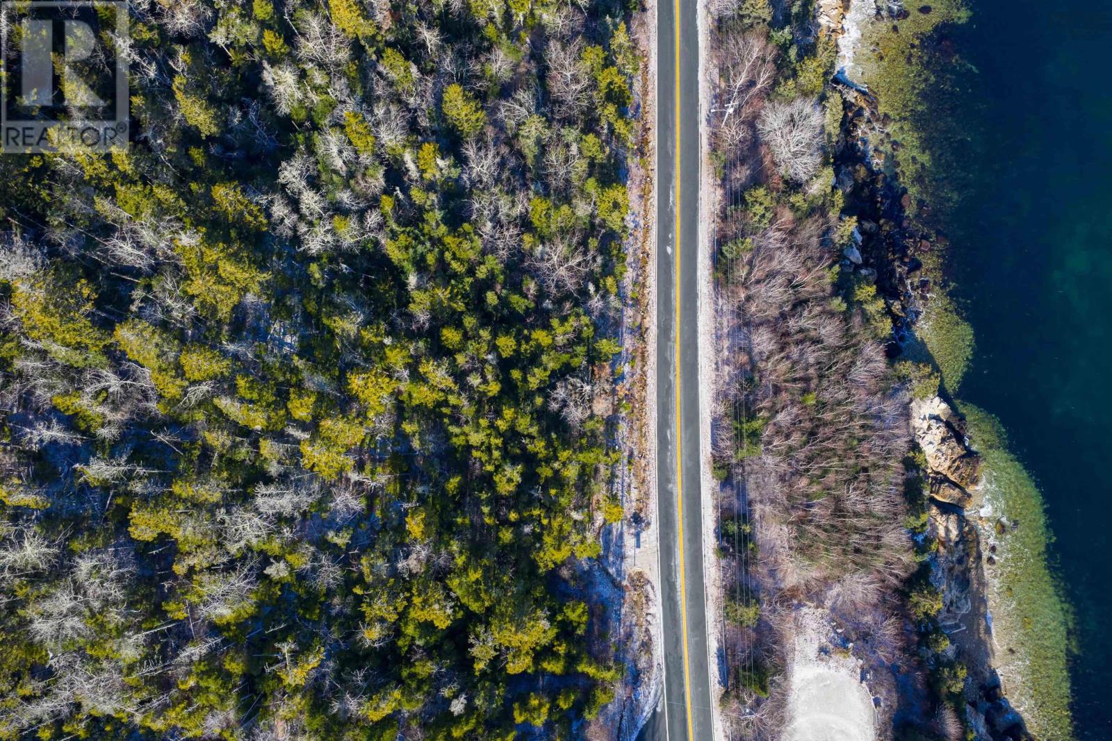 329 Highway, Birchy Head, Nova Scotia  B0J 1T0 - Photo 10 - 202600504