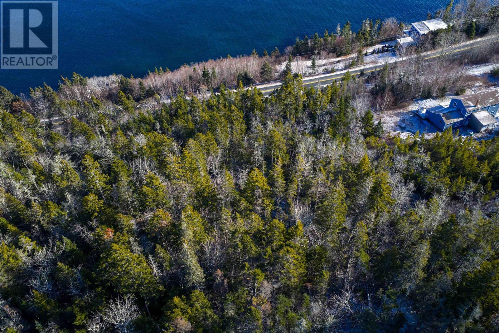 329 Highway, Birchy Head, Nova Scotia  B0J 1T0 - Photo 6 - 202600504