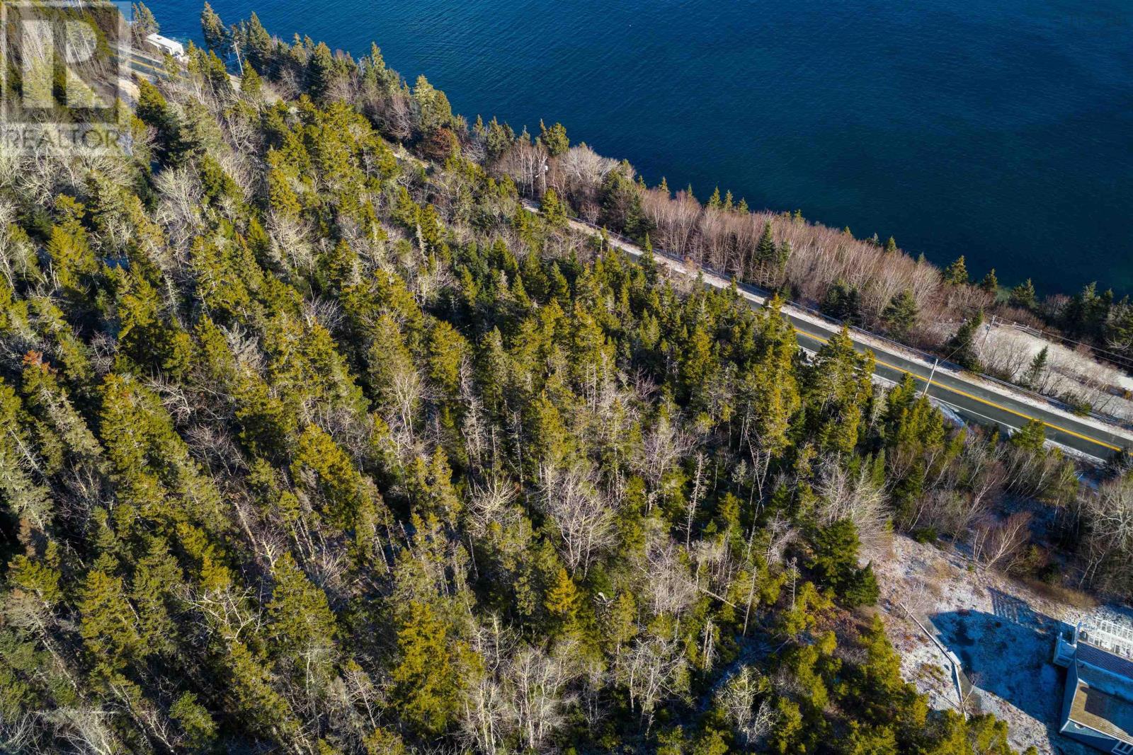 329 Highway, Birchy Head, Nova Scotia  B0J 1T0 - Photo 9 - 202600504