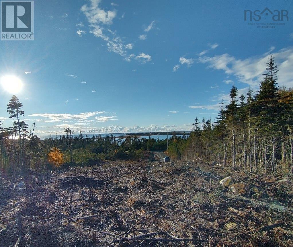 0 Ostrea Lake Road, Pleasant Point, Nova Scotia  B0J 2L0 - Photo 2 - 202600515