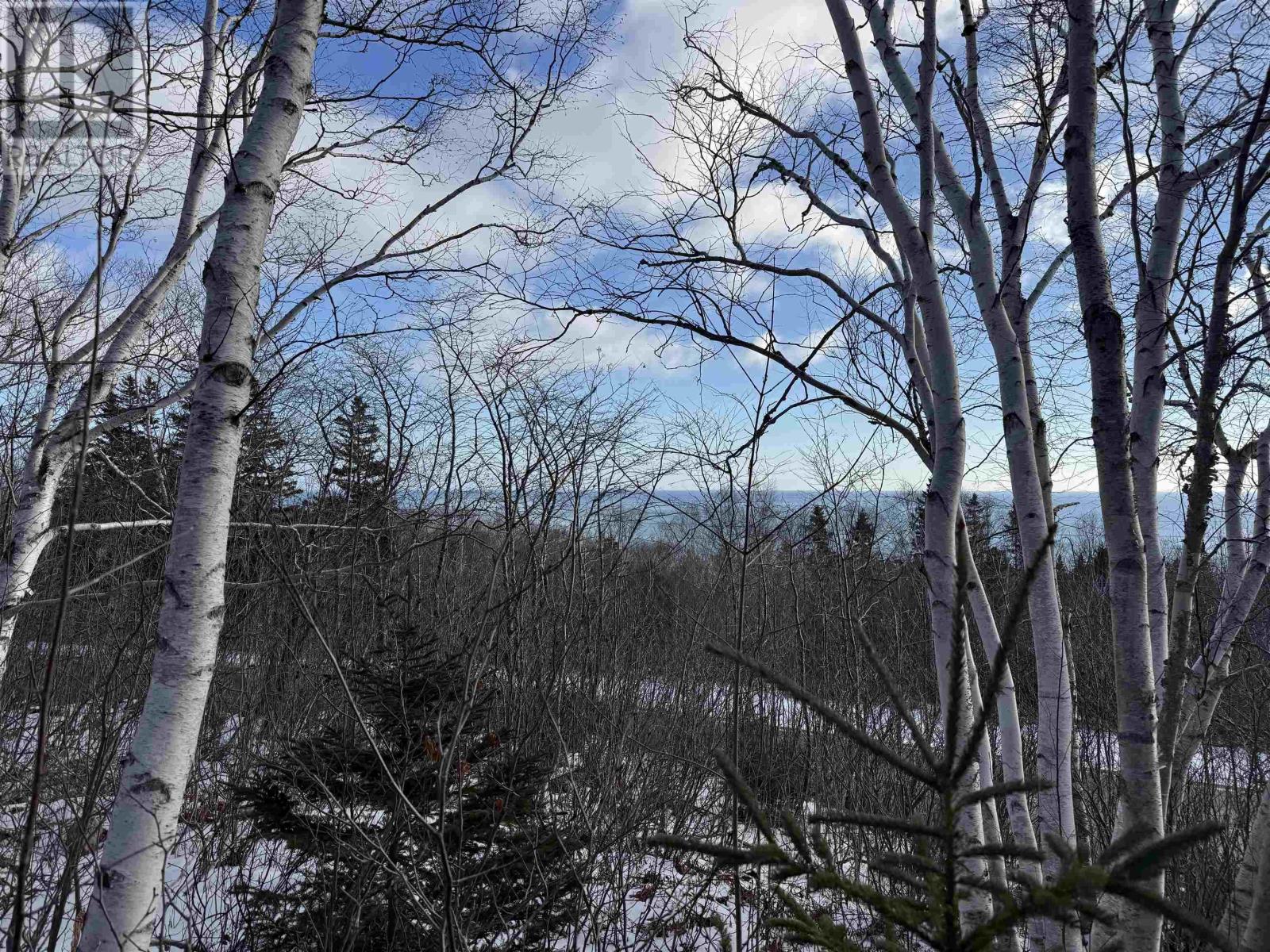 Cabot Trail, Wreck Cove, Nova Scotia  B0C 1H0 - Photo 4 - 202600532