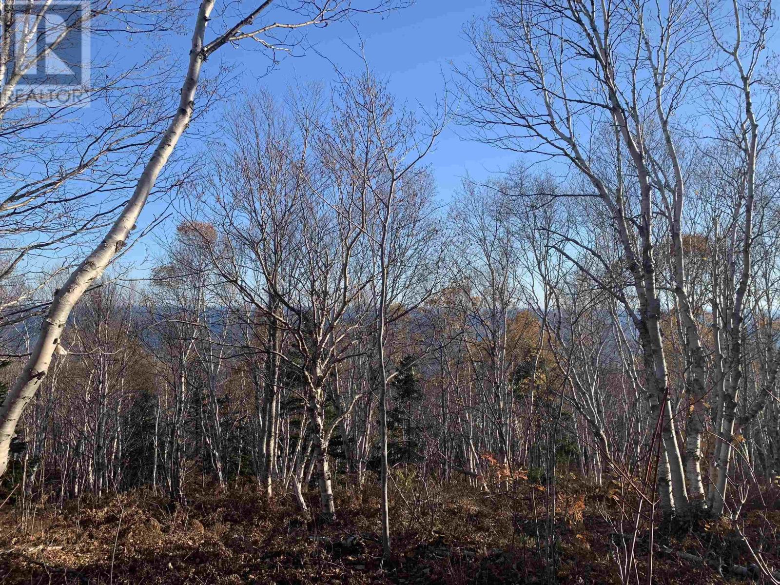 Cabot Trail, Wreck Cove, Nova Scotia  B0C 1H0 - Photo 5 - 202600532