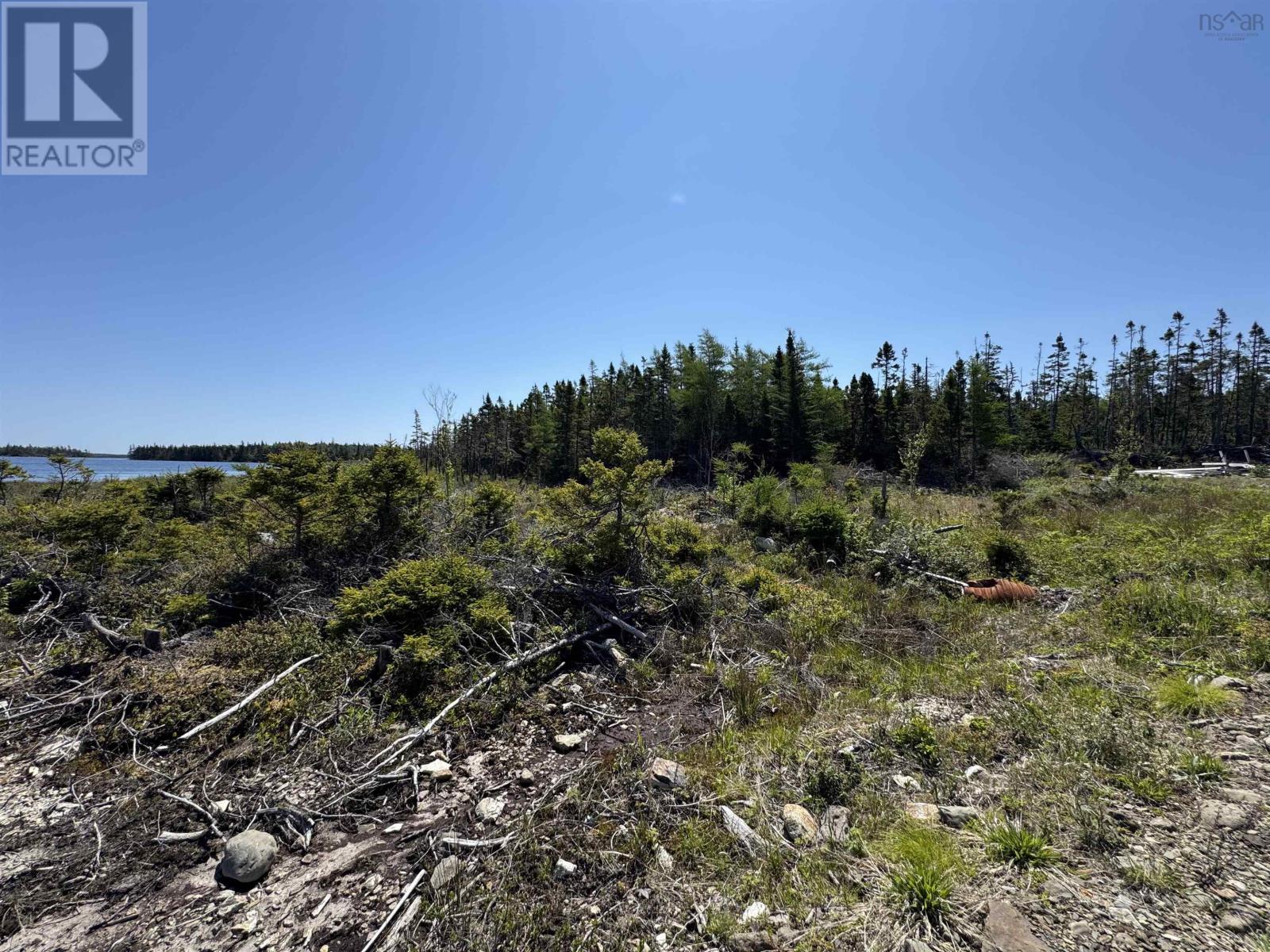 Lot 20 Harald Born Drive, Belfry Lake, Nova Scotia  B1K 2P6 - Photo 14 - 202600534