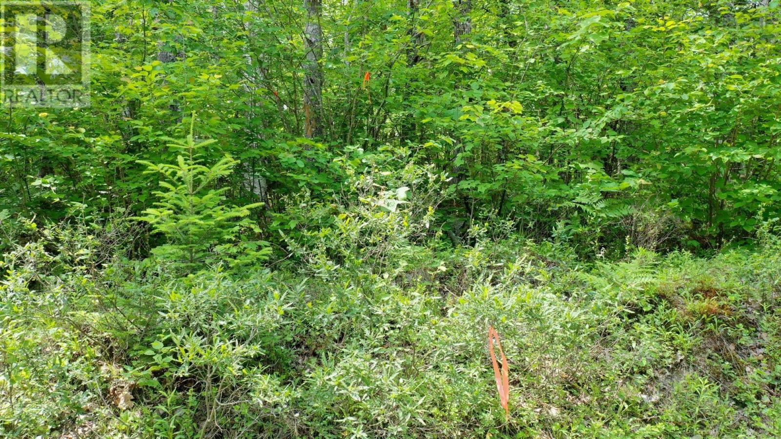 Lot 71 Baker Pt Road, Molega, Nova Scotia  B0T 1X0 - Photo 20 - 202600673