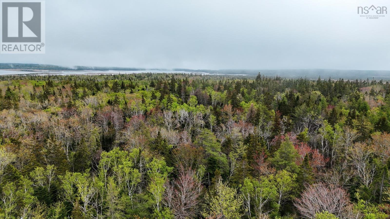 0 Birch Grove Road, Port Morien, Nova Scotia  B1B 1J3 - Photo 3 - 202600678