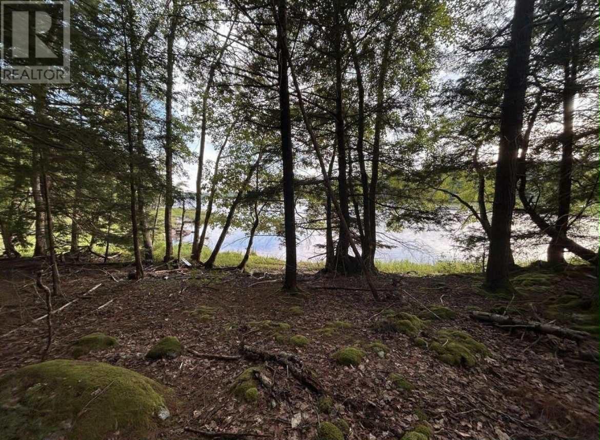 Lot 27 Maplesue Point Road, Molega, Nova Scotia  B0T 1X0 - Photo 3 - 202600683