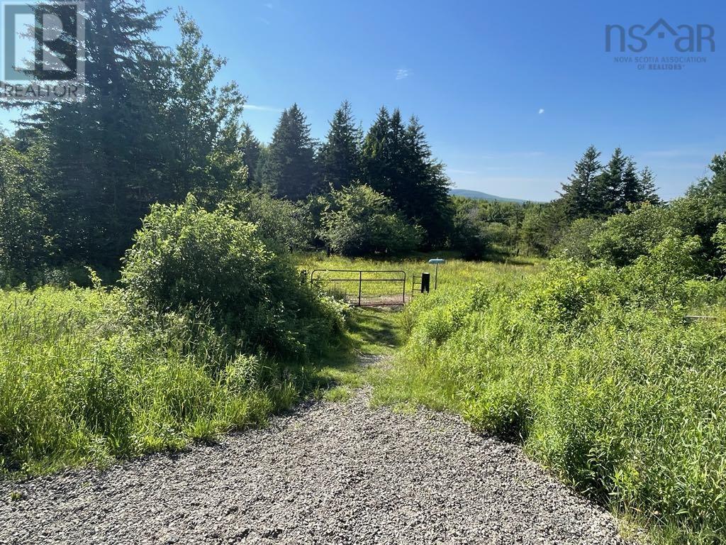 230 Arsenaults Hill Road, Margaree, Nova Scotia  B0E 2B0 - Photo 18 - 202600699