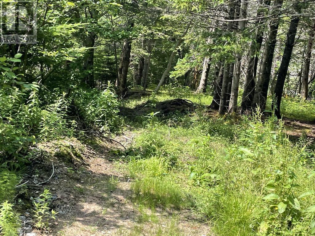 230 Arsenaults Hill Road, Margaree, Nova Scotia  B0E 2B0 - Photo 20 - 202600699