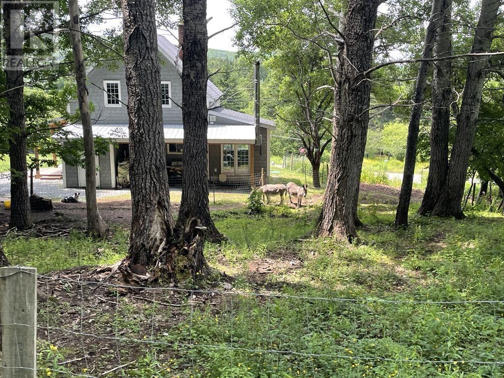 230 Arsenaults Hill Road, Margaree, Nova Scotia  B0E 2B0 - Photo 9 - 202600699