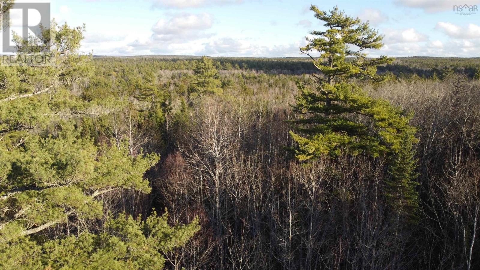 Highway 10, Albany, Nova Scotia  B0S 1P0 - Photo 10 - 202600713