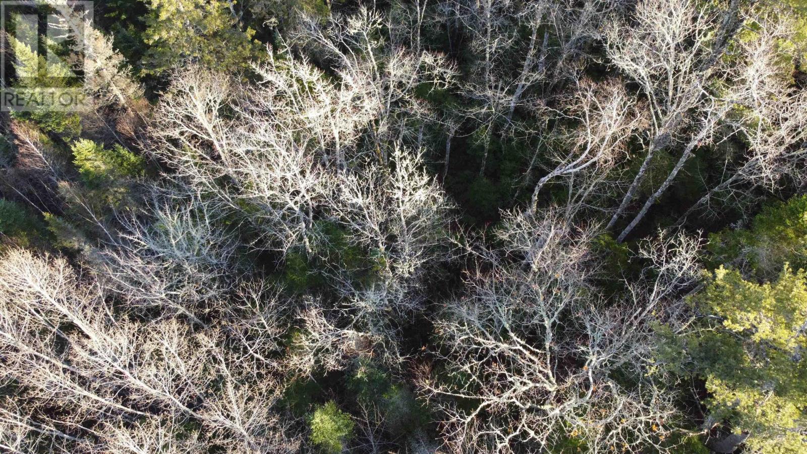 Highway 10, Albany, Nova Scotia  B0S 1P0 - Photo 11 - 202600713