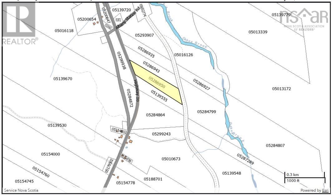 Highway 10, Albany, Nova Scotia  B0S 1P0 - Photo 12 - 202600713