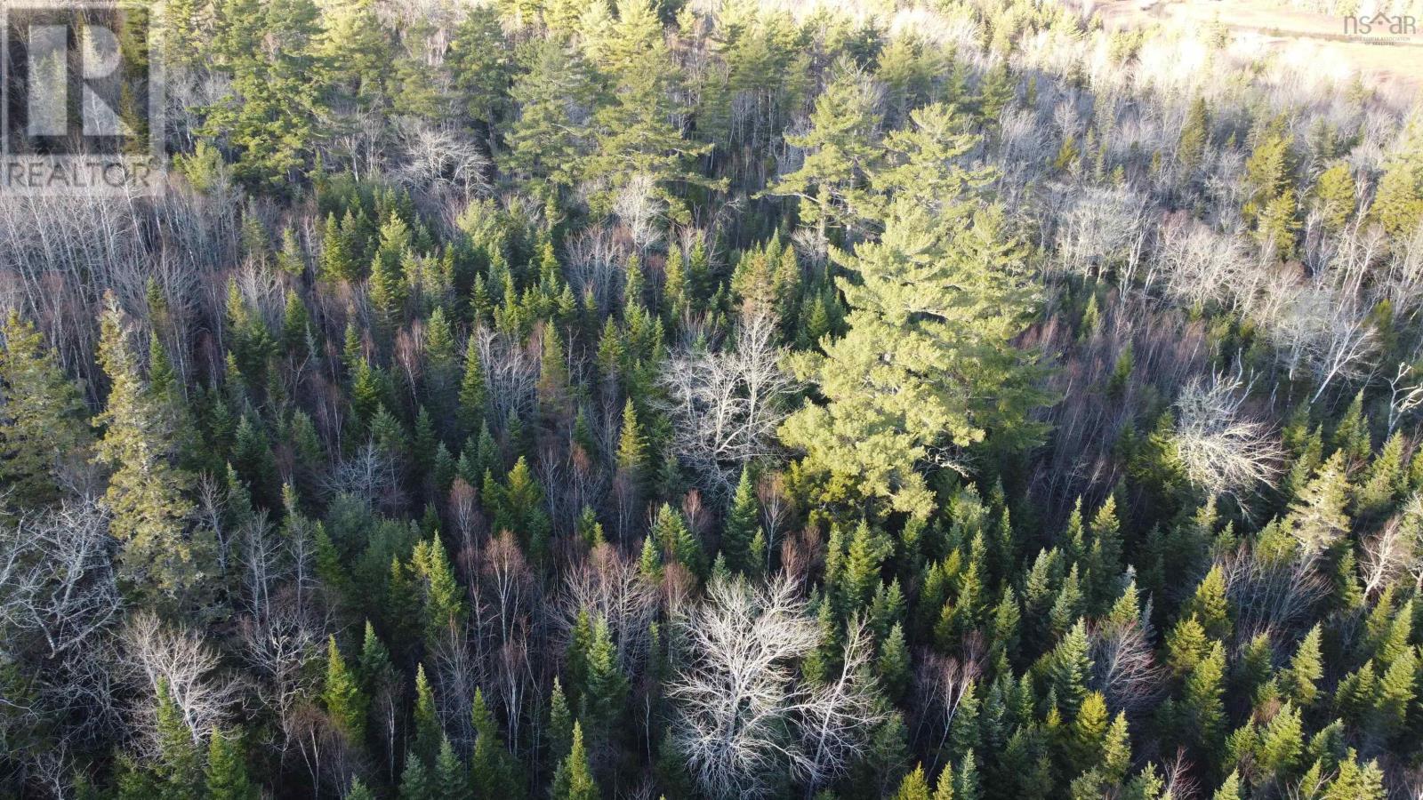 Highway 10, Albany, Nova Scotia  B0S 1P0 - Photo 2 - 202600713