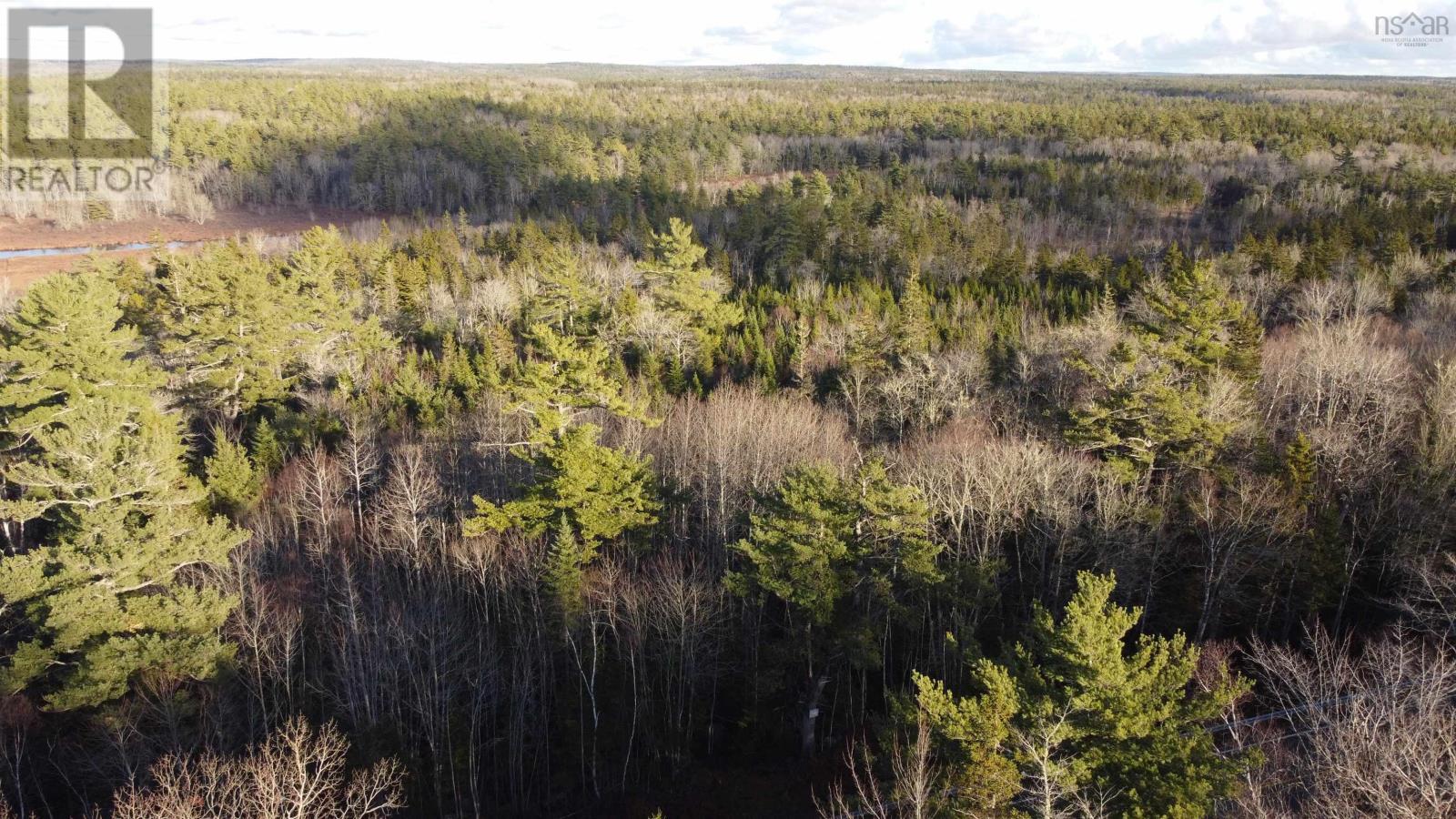 Highway 10, Albany, Nova Scotia  B0S 1P0 - Photo 3 - 202600713