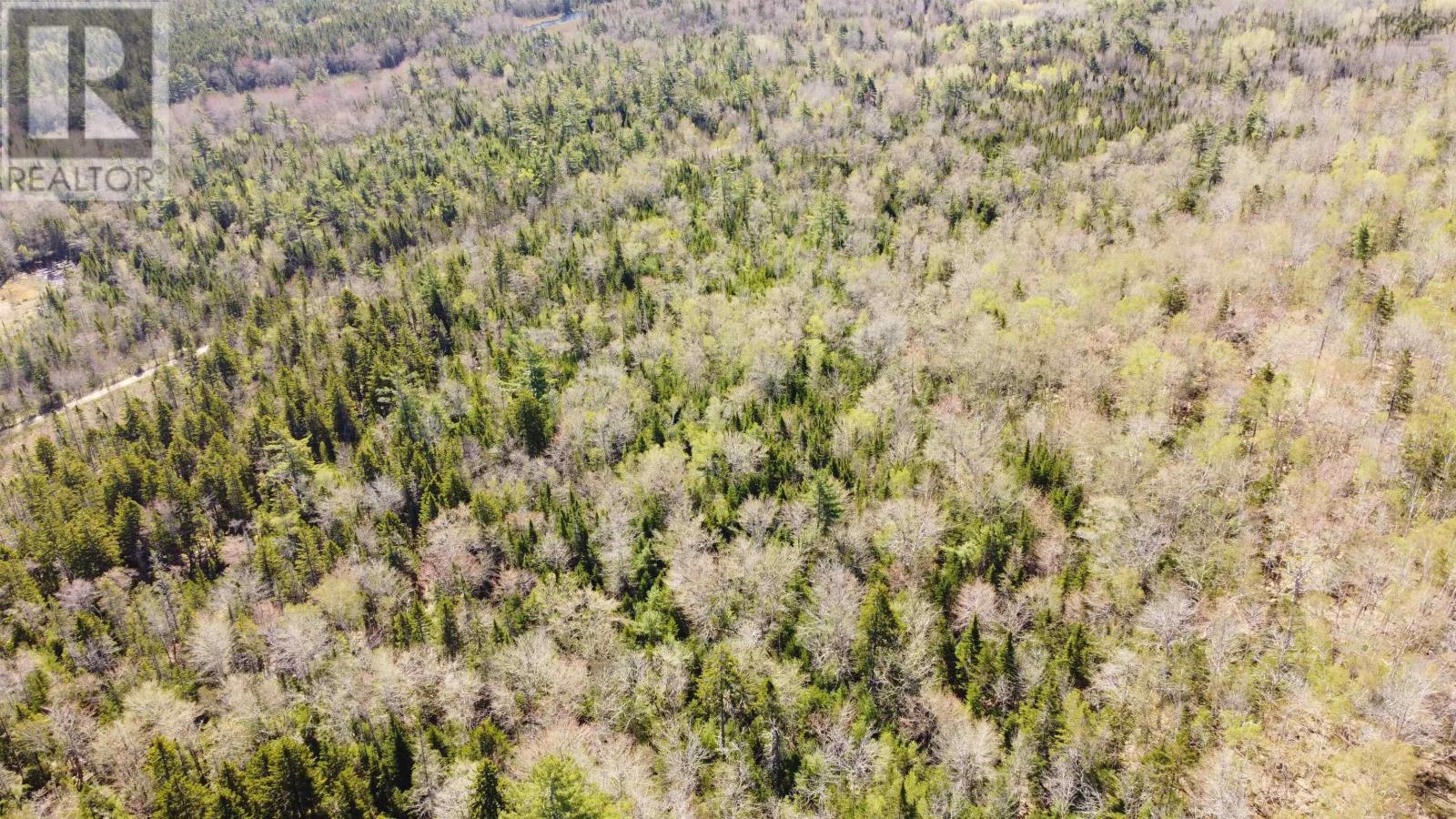 Highway 10, Albany, Nova Scotia  B0S 1P0 - Photo 4 - 202600713