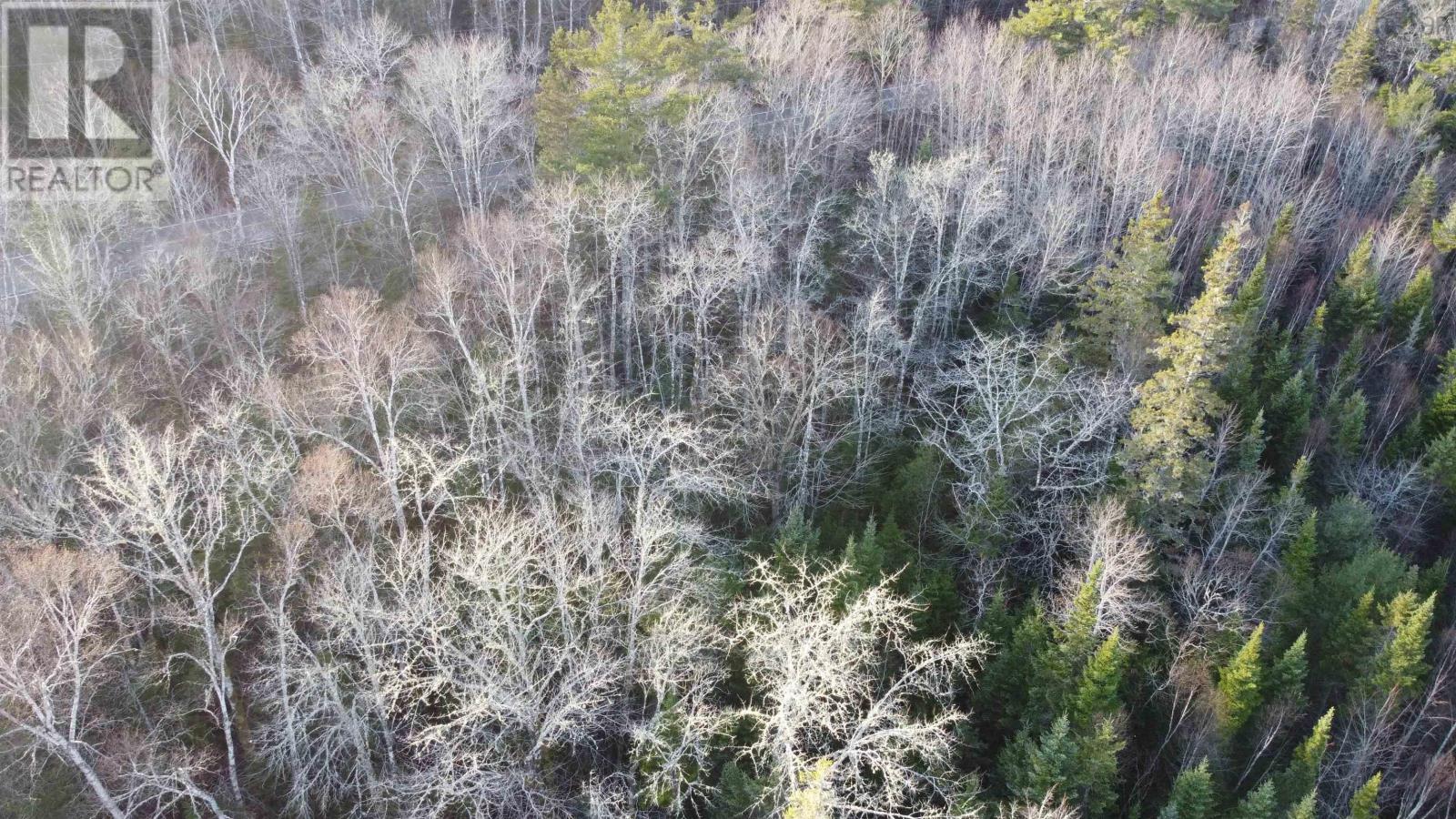 Highway 10, Albany, Nova Scotia  B0S 1P0 - Photo 7 - 202600713