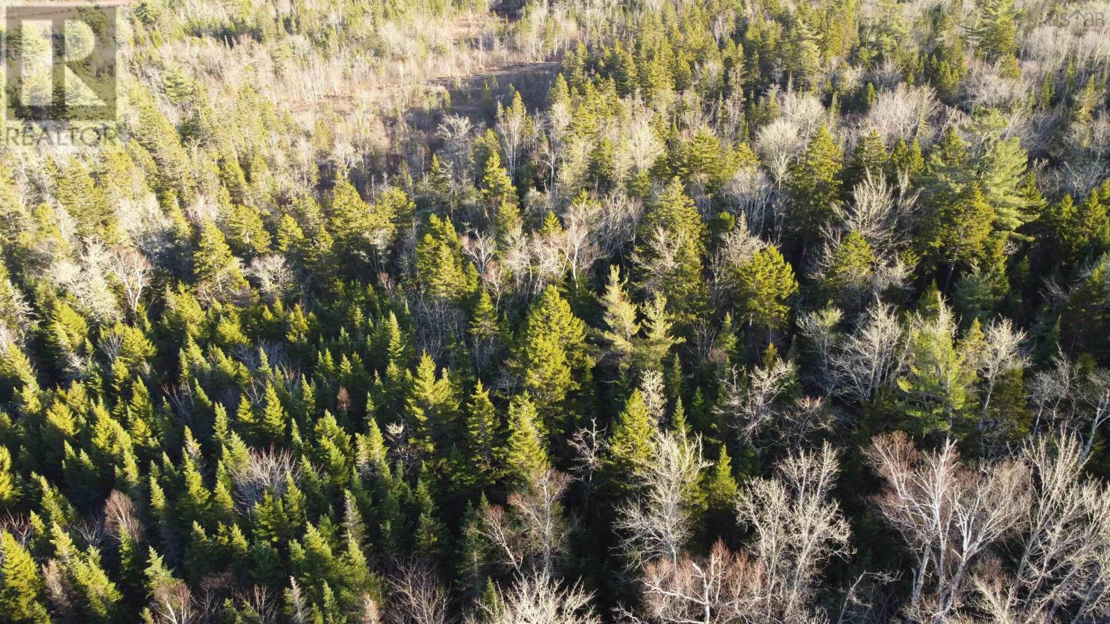 Highway 10, Albany, Nova Scotia  B0S 1P0 - Photo 8 - 202600713