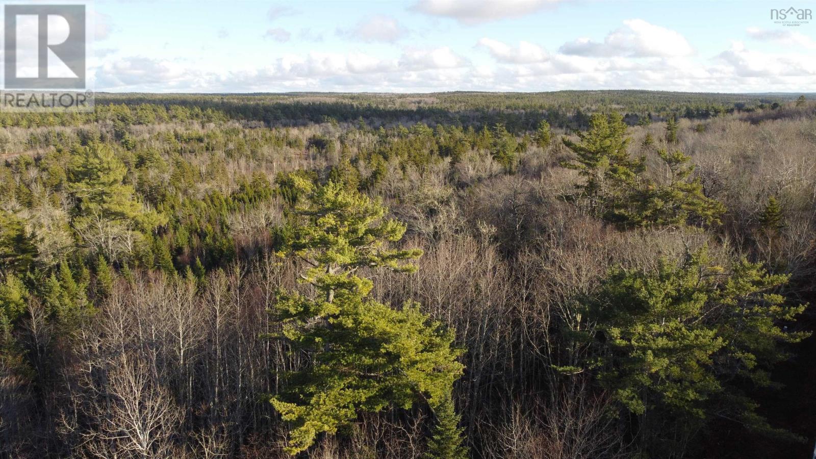 Highway 10, Albany, Nova Scotia  B0S 1P0 - Photo 9 - 202600713