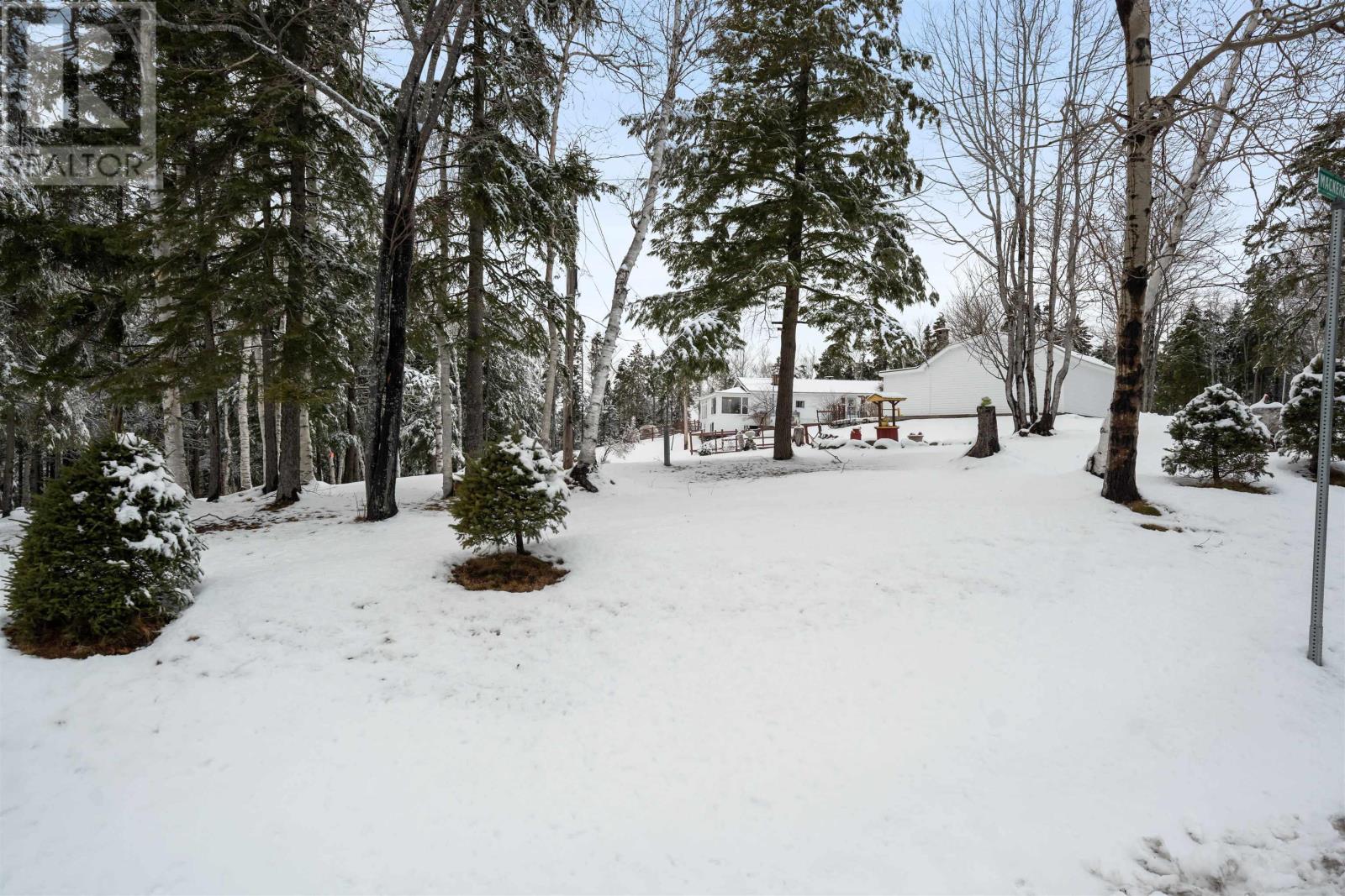 417 Mackenzie Road, Black Point, Nova Scotia  B0K 1X0 - Photo 49 - 202600726