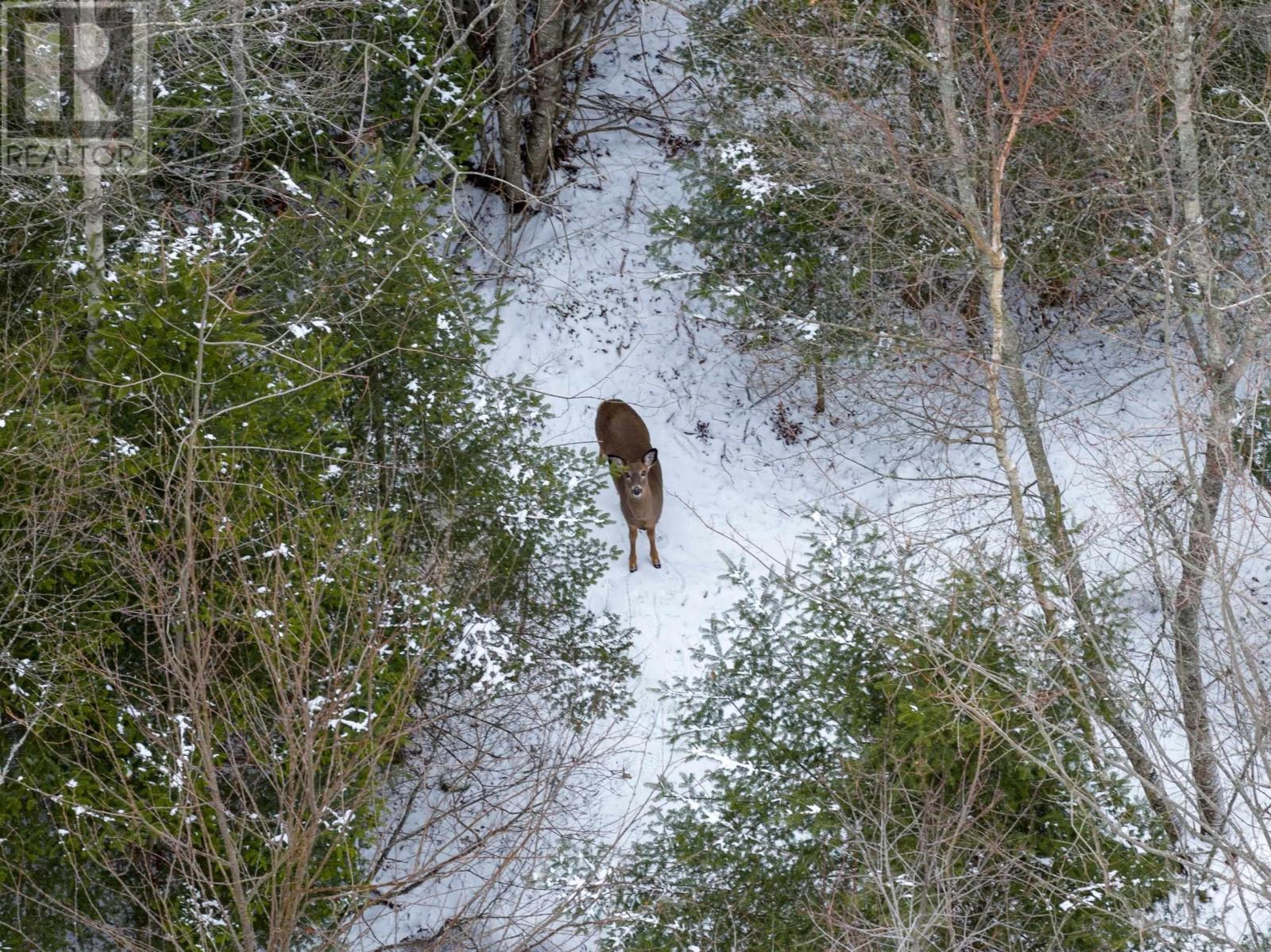 48 Huckleberry Lane, Valley, Nova Scotia  B2N 6K2 - Photo 3 - 202600767
