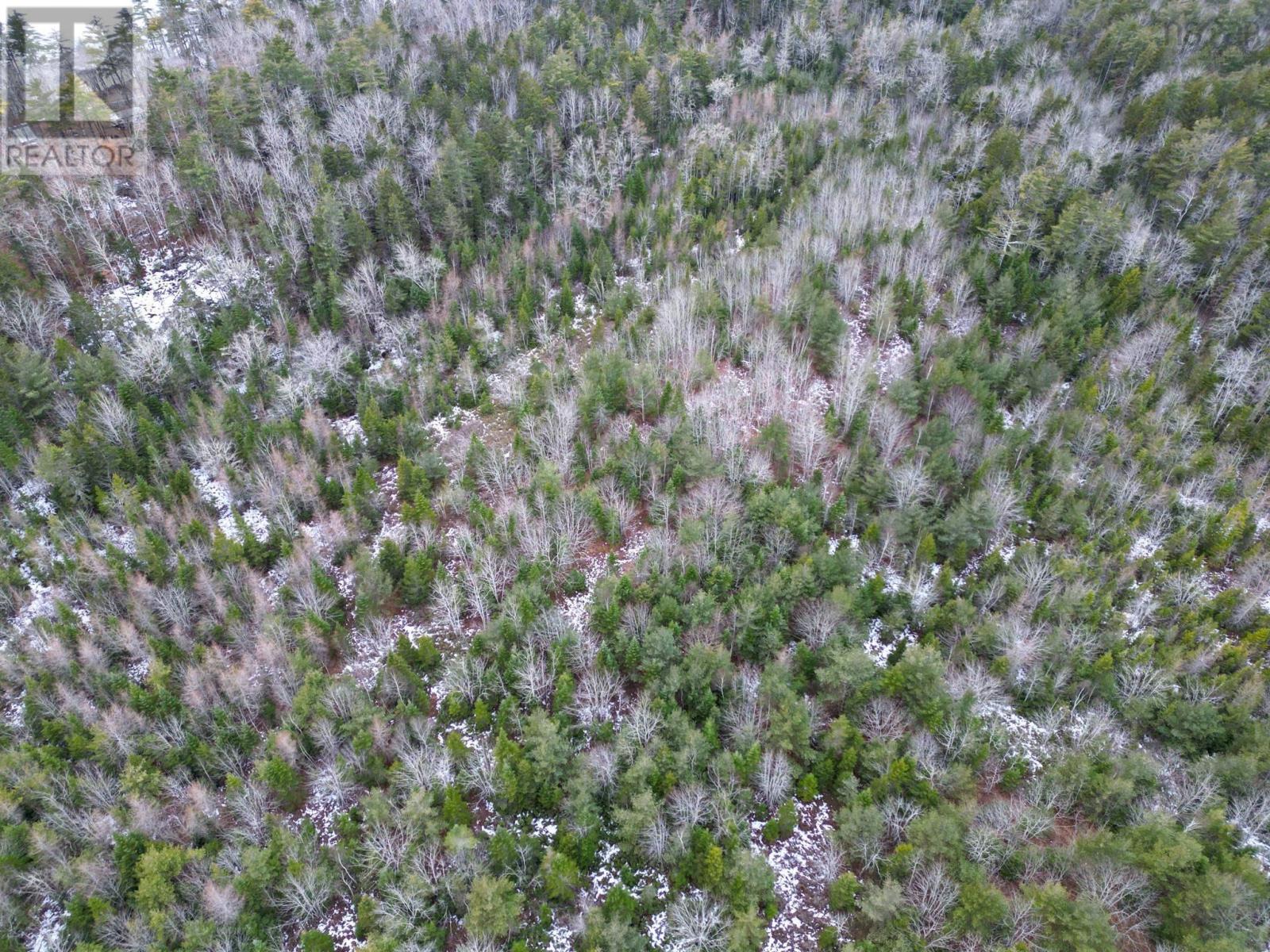 Lot 73 Judy Avenue, East Quinan, Nova Scotia  B0W 3M0 - Photo 2 - 202600772