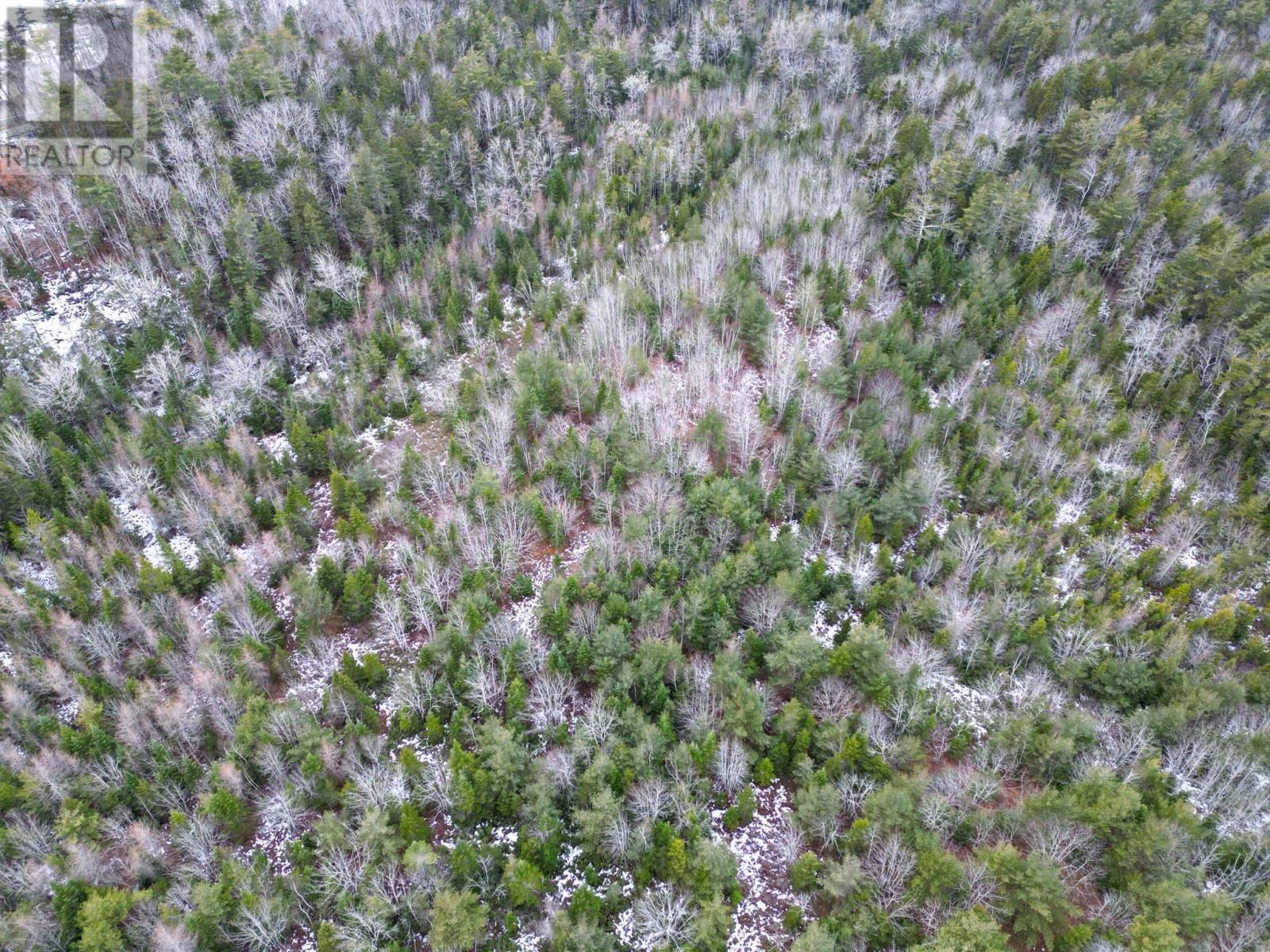 Lot 73 Judy Avenue, East Quinan, Nova Scotia  B0W 3M0 - Photo 3 - 202600772