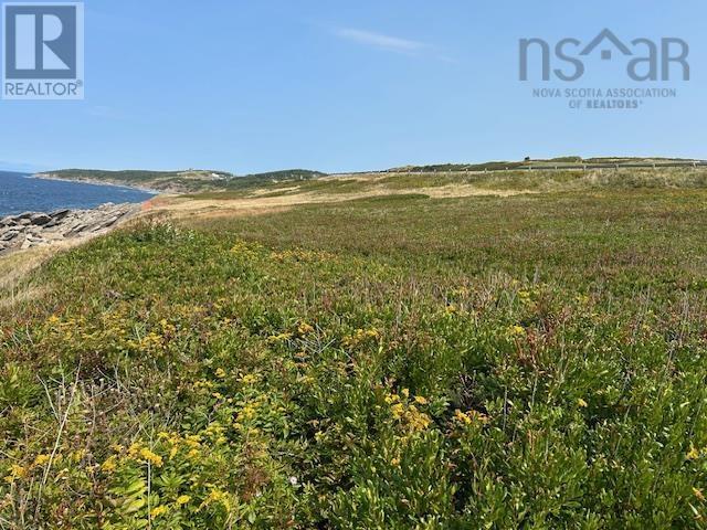 Cabot Trail, Cap Le Moine, Nova Scotia  B0E 1H0 - Photo 4 - 202600807