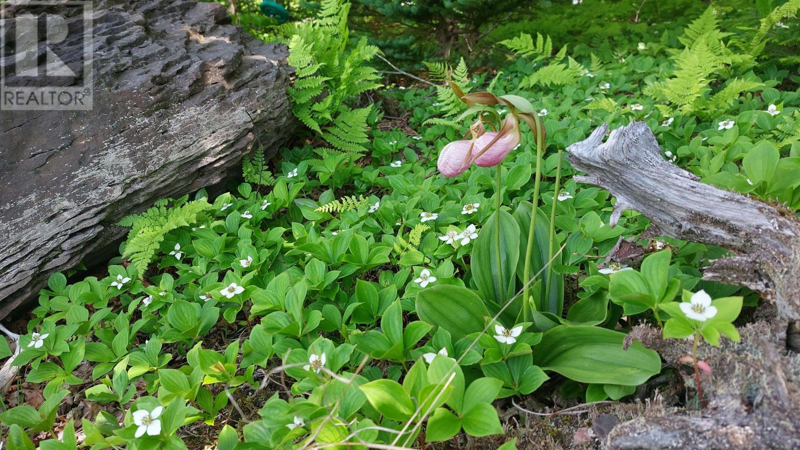 Lot 22 Highway 4, Kempt Road, Nova Scotia  B0E 1J0 - Photo 16 - 202600857