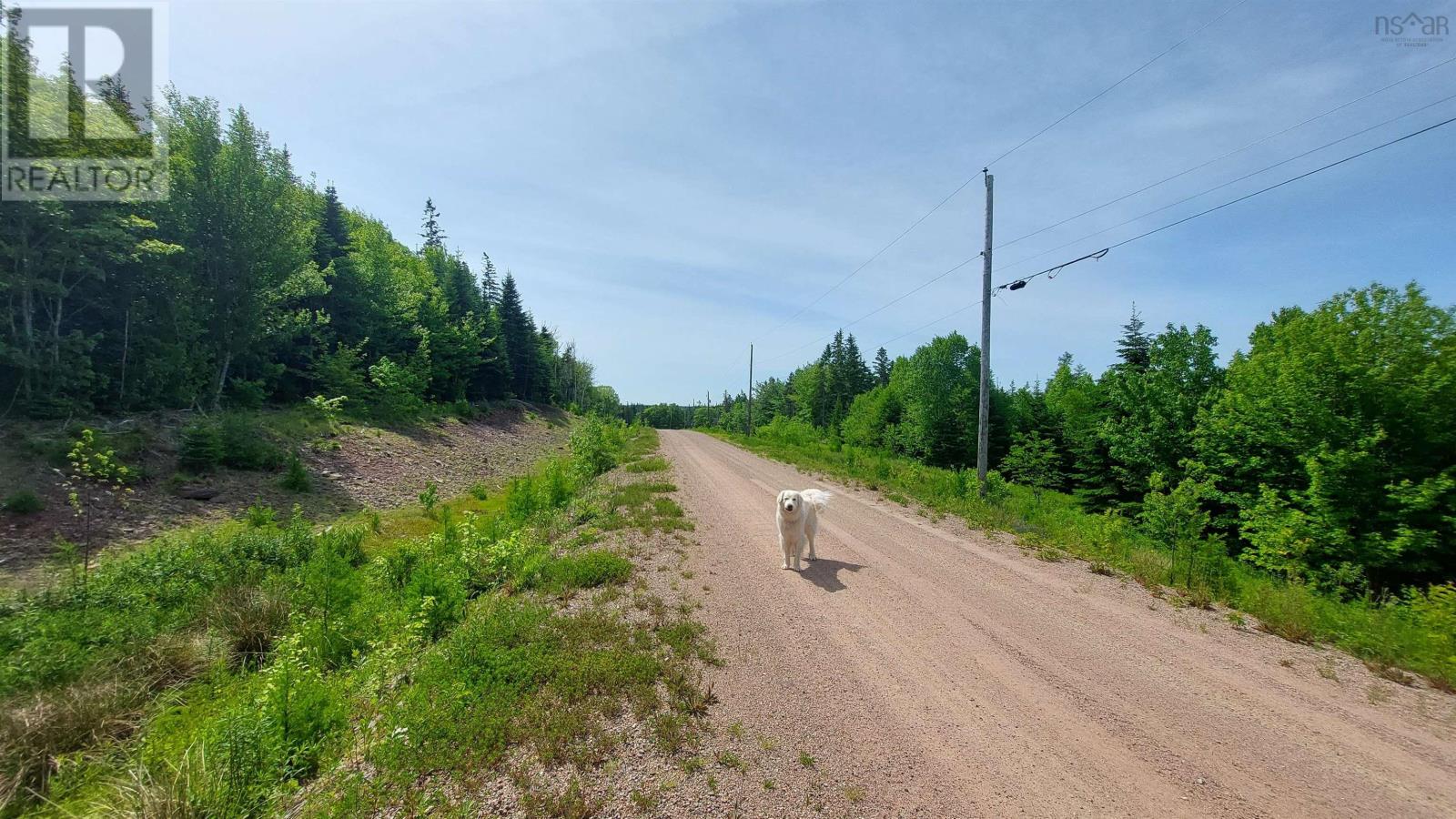Lot 22 Highway 4, Kempt Road, Nova Scotia  B0E 1J0 - Photo 3 - 202600857
